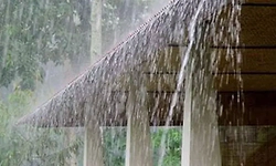 Mangaluru: ಮುಂಗಾರು ಲಕ್ಷಣದ ಮಳೆ ಆರಂಭ