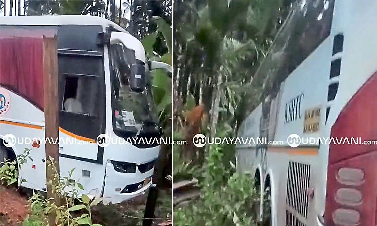 ತೀರ್ಥಹಳ್ಳಿ: ಅಡಿಕೆ ತೋಟಕ್ಕೆ ನುಗ್ಗಿದ ಐರಾವತ ಬಸ್; ಪ್ರಯಾಣಿಕರು ಪಾರು