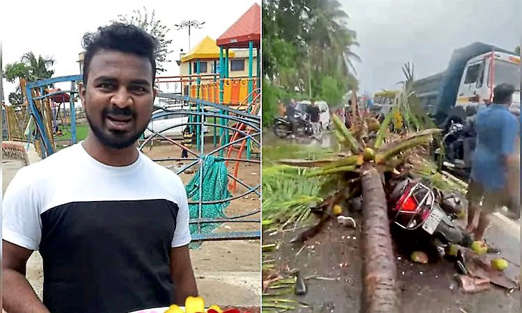 ಚಲಿಸುತ್ತಿದ್ದ ಬೈಕ್ ಮೇಲೆ ಬಿದ್ದ ತೆಂಗಿನ ಮರ... ಮಾಜಿ ಉಪಮೇಯರ್ ಪುತ್ರ ಸಾವು