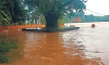 Flooding reported in low-lying areas, rivers swell and NDRF teams remain on standby