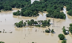 Assam flood: Govt releases first tranche of Rs 160 cr interim relief to worst-hit households