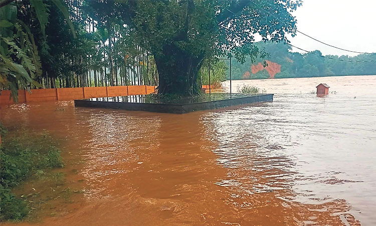 ದ. ಕ.: ಮುಂದುವರಿದ ಮಳೆ; ತಗ್ಗು ಪ್ರದೇಶಗಳು ಜಲಾವೃತ, ಎನ್‌ಡಿಆರ್‌ಎಫ್‌ ಸನ್ನದ್ಧ