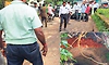 ಕರಂಬಾರು: ಹಳೆ ಕಿರುಸೇತುವೆ ಕಲ್ಲು ಕುಸಿತ; ಸಂಚಾರ ನಿರ್ಬಂಧ
