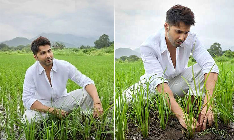Actor Varun Dhawan: ಭೂಮಿ ಖರೀದಿಸಿ ಕೃಷಿ ಕೆಲಸಕ್ಕೆ ಧುಮುಕಿದ ನಟ ವರುಣ್‌ ಧವನ್!