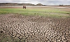 K'taka drought-hit taluks rise to 226; relief memo to be ready in a week, says Parameshwara