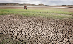 K'taka drought-hit taluks rise to 226; relief memo to be ready in a week, says Parameshwara