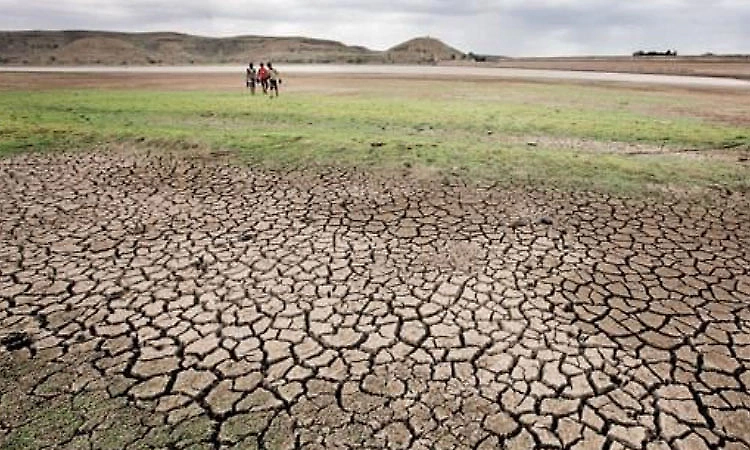 K'taka drought-hit taluks rise to 226; relief memo to be ready in a week, says Parameshwara