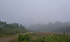 Heavy fog: ಉಡುಪಿಯಲ್ಲಿ ಮುಂಜಾನೆ ದಡ್ಡ ಮಂಜಿನ ಅಚ್ಚರಿ