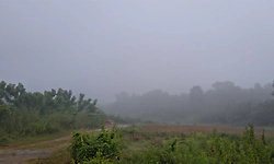 Heavy fog: ಉಡುಪಿಯಲ್ಲಿ ಮುಂಜಾನೆ ದಟ್ಟ ಮಂಜಿನ ಅಚ್ಚರಿ  