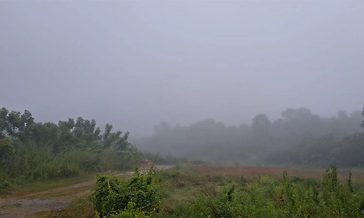 Heavy fog: ಉಡುಪಿಯಲ್ಲಿ ಮುಂಜಾನೆ ದಟ್ಟ ಮಂಜಿನ ಅಚ್ಚರಿ  