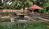 ಕೋಟದ ಕಾರಂತ ಥೀಮ್‌ ಪಾರ್ಕ್‌: ಮುಕ್ಕಾಲು ಕೋಟಿಯ ಕಾರಂಜಿ ಕುಣಿದಿದ್ದು ಮೂರೇ ದಿನ!