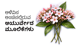 Ayurvedic Herbs: ಅಳಿವಿನ ಅಂಚಿನಲ್ಲಿರುವ ಆಯುರ್ವೇದ ಮೂಲಿಕೆಗಳು