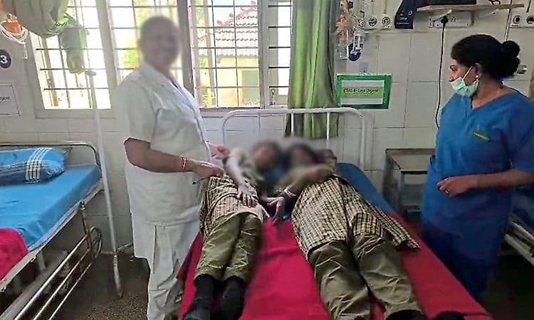 Madikeri: Over 30 students fall ill after bee attack at Virajpet govt school