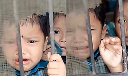 Viral: ಹಾಲು ಕುಡಿಯಲು ಮನೆಗೆ ಕಳುಹಿಸಿ! ನನ್ನಮ್ಮನಿಗೆ ಫೋನ್ ಮಾಡಿ ಎಂದು ಎಲ್‌ಕೆಜಿ ಮಕ್ಕಳ ಅಳು