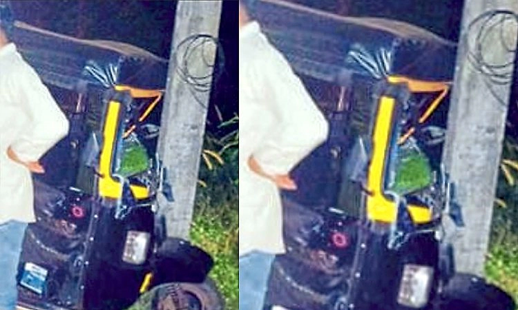 Kasaragod: ಚಾಲಕನ ಹೆಗಲೇರಿದ ಗೂಬೆ: ರಿಕ್ಷಾ ಅಪಘಾತ!