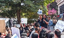 Animal rights activists decry state sponsored cruelty; demand humane treatment of stray dogs