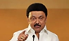 DMK to form government on its own strength: Stalin's message to Congress