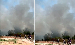 Gangolli; ಕೊಡಪಾಡಿ: ಗೇರು ಹಾಡಿಯಲ್ಲಿ ಆಕಸ್ಮಿಕ ಬೆಂಕಿ