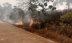 Kadaba: ಕೊಯ್ಲ ಫಾರ್ಮ್ ಹುಲ್ಲುಗಾವಲಿಗೆ ಬೆಂಕಿ