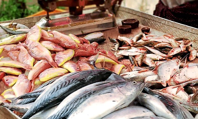 ಮೀನುಗಾರಿಕೆಗೆ ಮತ್ತೆ ಗ್ರಹಣ; ಗಗನಕ್ಕೇರಿದ ಮೀನಿನ ದರ 