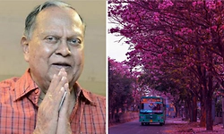 Meet the IFS officer who planted 1.5 million trees and gave Bengaluru its pink summers