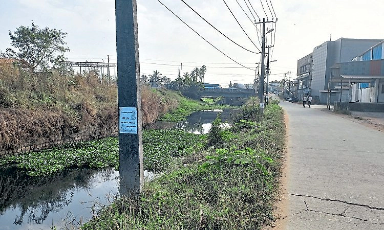 Mangaluru; ರಾಜ ಕಾಲುವೆ ತಡೆಗೋಡೆ ಎತ್ತರಿಸಿ