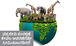 Wildlife conservation: ವನ್ಯಜೀವಿ ಸಂರಕ್ಷಣೆ ಕೇವಲ ಆಚರಣೆಗಷ್ಟೇ ಸೀಮಿತವಾಗದಿರಲಿ