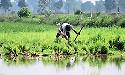 Special Allowance: ‘ರೈತ ಮಕ್ಕಳಿಗೆ ಹೆಣ್ಣು ಕೊಟ್ರೆ ವಿಶೇಷ ಭತ್ಯೆ ಘೋಷಿಸಿ’