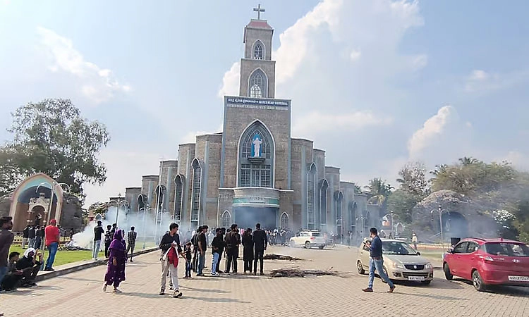 ಗುಡ್ ಫ್ರೈಡೇ ಪ್ರಾರ್ಥನೆ ವೇಳೆ ಹೆಜ್ಜೇನು ದಾಳಿ, ನೂರಾರು ಮಂದಿಗೆ ಗಾಯ