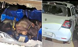 Bhatkala: ಗೋ ಕಳ್ಳತನದ ವೇಳೆ ಸಾರ್ವಜನಿಕರಿಂದ ತಡೆ; ಕಾರು ಬಿಟ್ಟು ಕಳ್ಳರು ಪರಾರಿ