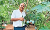 Mangaluru; ಅವರ ಮನೆಯ ತಾರಸಿ ಮೇಲಿದೆ ಜಗತ್ತಿನ ದುಬಾರಿ ಮಾವು!