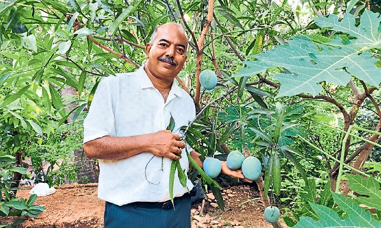 Mangaluru; ಅವರ ಮನೆಯ ತಾರಸಿ ಮೇಲಿದೆ ಜಗತ್ತಿನ ದುಬಾರಿ ಮಾವು!