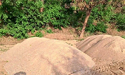 Belthangady: ಅಕ್ರಮ ಮರಳು ಅಡ್ಡೆಗೆ ದಾಳಿ