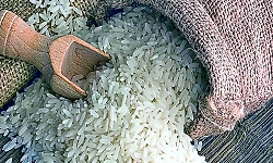 Tribal families face hardship as nutrition kit supply halted for three months
