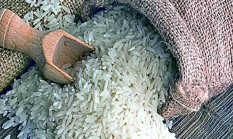 Tribal families face hardship as nutrition kit supply halted for three months