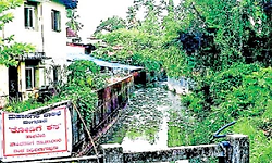 Mangaluru: ಅತ್ತಾವರದಲ್ಲಿ ಸಣ್ಣ ಮಳೆಗೂ ನೆರೆ