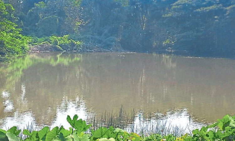 ತ್ಯಾಜ್ಯ ಗುಂಡಿಯಾಗಿದೆ ಐತಿಹಾಸಿಕ ಅಗಸನಕೆರೆ!
