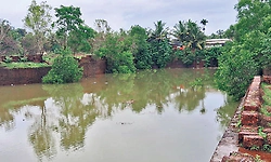 ಕಾಸರಗೋಡಿನಲ್ಲೂ ಅಕ್ರಮ ಕೋರೆಗಳ ಕಾಟ ತಪ್ಪಿಲ್ಲ