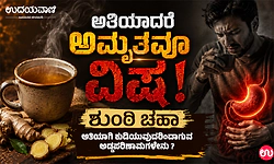 ಅತಿಯಾದರೆ ಅಮೃತವೂ ವಿಷ: ಶುಂಠಿ ಚಹಾ ಅತಿಯಾಗಿ ಕುಡಿಯುವುದರಿಂದಾಗುವ ಅಡ್ಡಪರಿಣಾಮಗಳೇನು ?