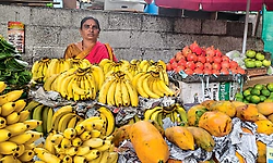 ಪರ್ಯಾಯ ಜಾಗವಿಲ್ಲದೆ ವ್ಯಾಪಾರಿಗಳ ಬದುಕು ಬೀದಿಗೆ