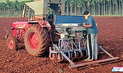 ಕೋಟೆನಾಡಲ್ಲೀಗ ರಾಗಿಯದ್ದೇ ಹವಾ!