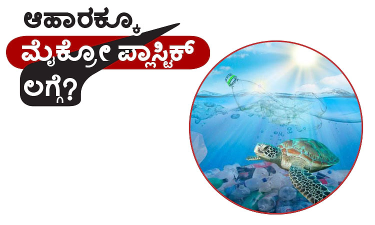 Microplastics: ಆಹಾರಕ್ಕೂ ಮೈಕ್ರೋಪ್ಲಾಸ್ಟಿಕ್‌ ಲಗ್ಗೆ ?