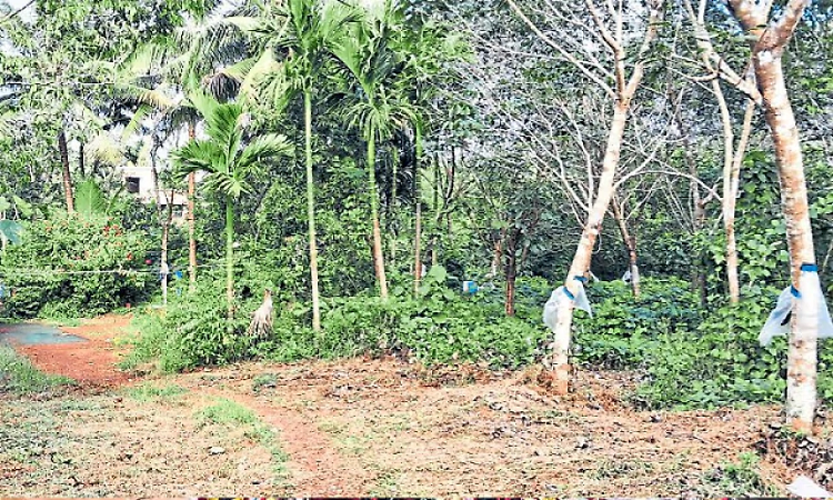 After 113 years, 138 Koraga families in Manjeshwar get land ownership rights