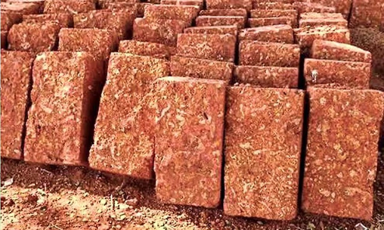 Red laterite mining rates remain high despite lower capital costs, officials push for faster licence approvals