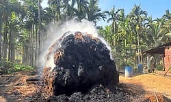 Anandapur: ಹುಲ್ಲು ಬಣವೆಗೆ ಆಕಸ್ಮಿಕ ಬೆಂಕಿ, ಲಕ್ಷಾಂತರ ರೂ. ನಷ್ಟ