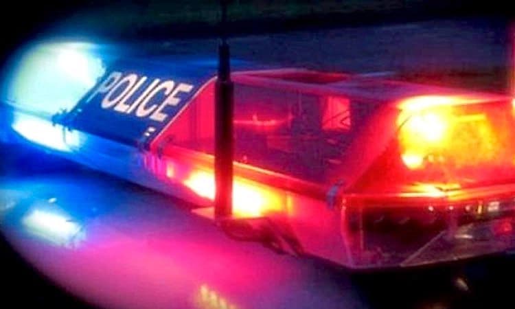 Punjalkatte: ಅಕ್ರಮ ಜಾನುವಾರು ಸಾಗಾಟ,ಆರೋಪಿಗಳು ಪರಾರಿ