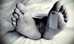 Kadaba: ಬಸ್‌ನಿಂದ ಇಳಿಯುವಾಗ ಆಕಸ್ಮಿಕವಾಗಿ ಕೆಳಕ್ಕೆ ಬಿದ್ದ ವೃದ್ದ ಸಾವು