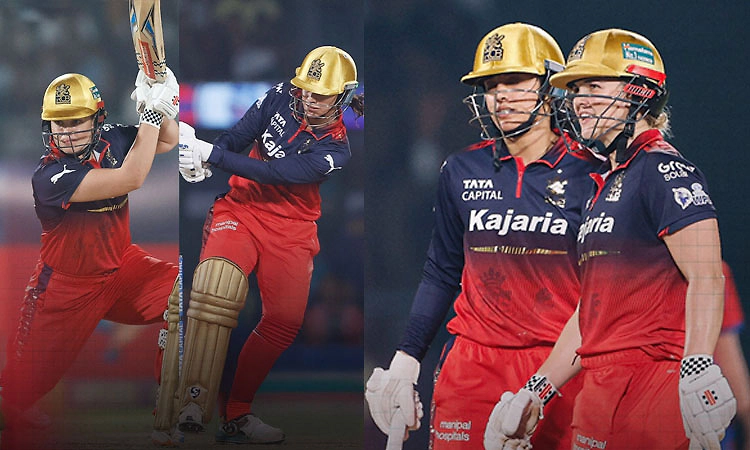 RCB vs DC: ಫೈನಲ್‌ನಲ್ಲಿ ಬ್ಯಾಟರ್‌ಗಳ ಮೇಲಾಟ: 2ನೇ ಬಾರಿ ಚಾಂಪಿಯನ್ ಆದ ಆರ್‌ಸಿಬಿ