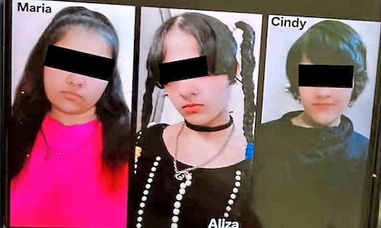 ಮತ್ತೊಬ್ಬ ಸೋದರಿಗೂ ಕೊರಿಯಾ ಗೀಳು ಹತ್ತಿಸಲು ಉ.ಪ್ರ. ಬಾಲಕಿಯರ ಯತ್ನ!