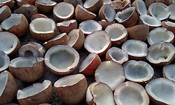 ಬಂಗಾರದಂತೆ ಏರುತ್ತಿದೆ ಕೊಬ್ಬರಿ ಧಾರಣೆ: ಕ್ವಿಂಟಲ್‌ಗೆ ಈಗ ರೂ.30488!